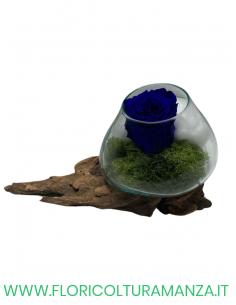 VASO IN VETRO CON ROSA STABILIZZATA BLU