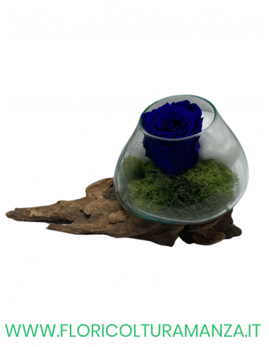 VASO IN VETRO CON ROSA STABILIZZATA BLU