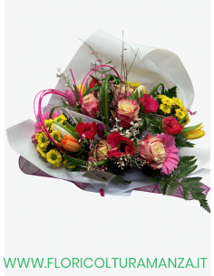 BOUQUET  B50