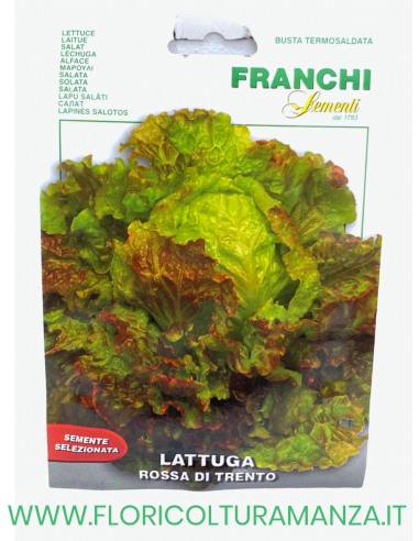 LATTUGA ROSSA DI TRENTO