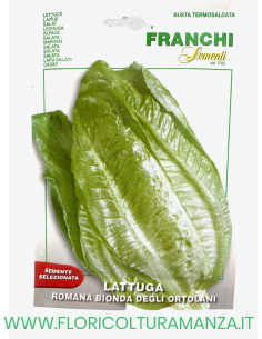 LATTUGA ROMANA BIONDA DEGLI ORTOLANI