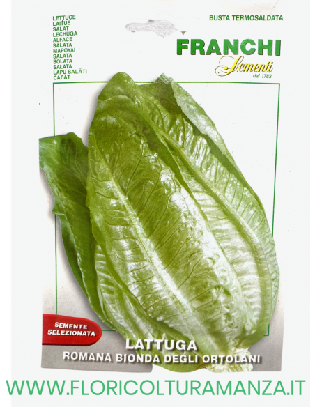 LATTUGA ROMANA BIONDA DEGLI ORTOLANI