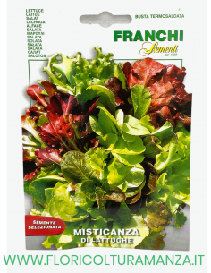 MISTICANZA DI LATTUGHE