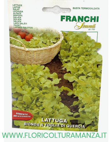LATTUGA BIONDA A FOGLIA DI QUERCIA