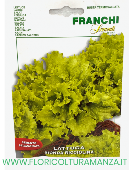 LATTUGA BIONDA RICCIOLINA