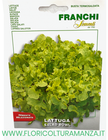 LATTUGA SALAD BOWL