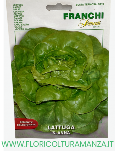 LATTUGA S. ANNA
