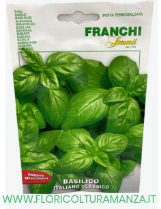 BASILICO ITALIANO CLASSICO