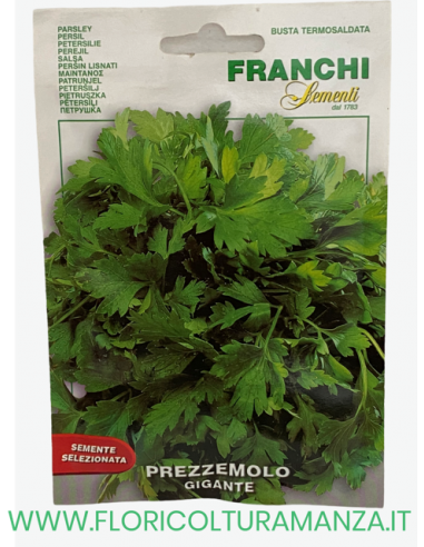 PREZZEMOLO GIGANTE