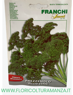 PREZZEMOLO RICCIO VERDE