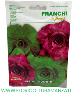 BIS DI CICORIE
