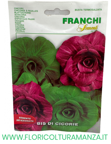 BIS DI CICORIE