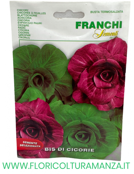 BIS DI CICORIE