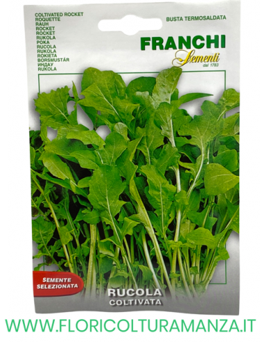 RUCOLA COLTIVATA