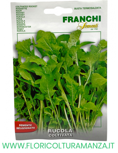 RUCOLA COLTIVATA