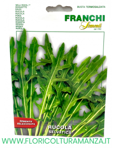 RUCOLA SELVATICA