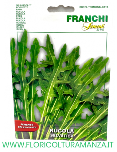RUCOLA SELVATICA
