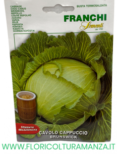 CAVOLO CAPPUCCIO BRUNSWICK