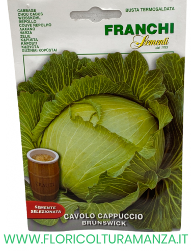CAVOLO CAPPUCCIO BRUNSWICK