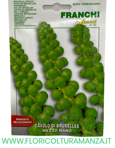 CAVOLO DI BRUXELLES MEZZO NANO