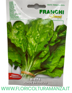 BIETA VERDE DA TAGLIO