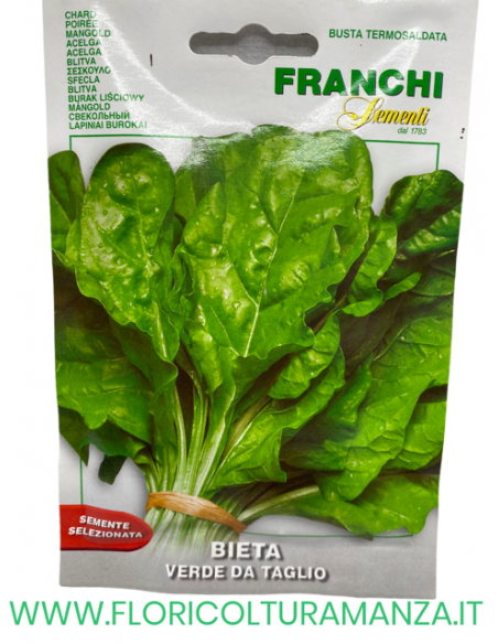 BIETA VERDE DA TAGLIO