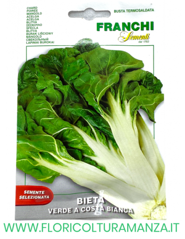BIETA VERDE A COSTA BIANCA