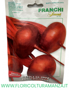 BIETOLA DA ORTO EGITTO MIGLIORATA