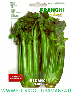SEDANO VERDE