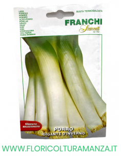 PORRO GIGANTE D'INVERNO