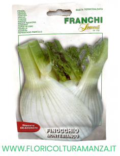FINOCCHIO MONTEBIANCO
