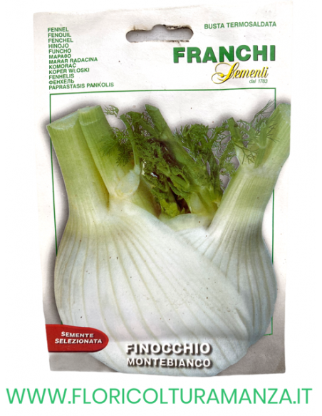 FINOCCHIO MONTEBIANCO