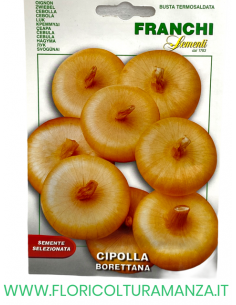 CIPOLLA BORETTANA