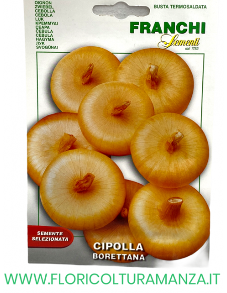 CIPOLLA BORETTANA