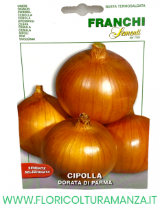 CIPOLLA DORATA DI PARMA