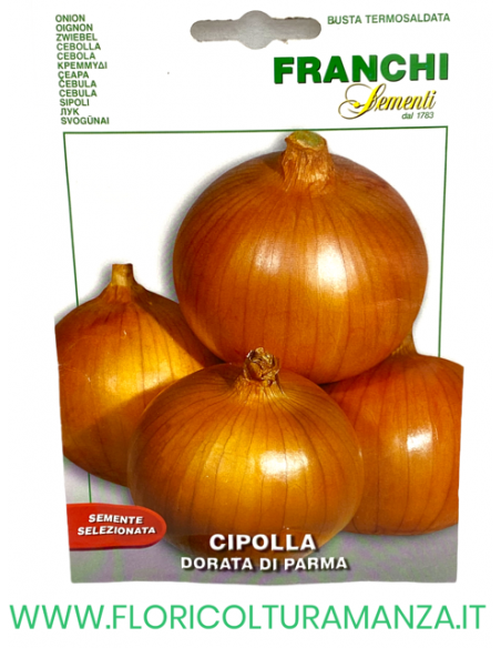 CIPOLLA DORATA DI PARMA