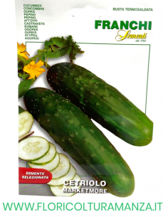 CETRIOLO MARKETMORE