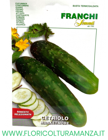 CETRIOLO MARKETMORE
