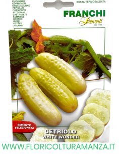 CETRIOLO WHITE WONDER
