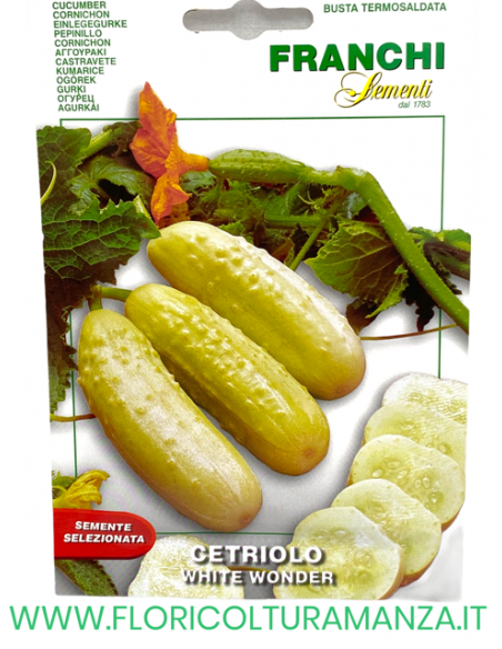 CETRIOLO WHITE WONDER