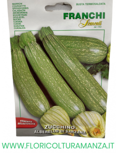 ZUCCHINO ALBERELLO DI SARZANA