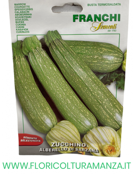ZUCCHINO ALBERELLO DI SARZANA