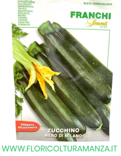 ZUCCHINO NERO DI MILANO