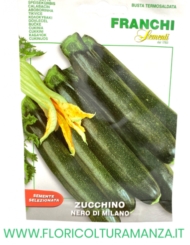 ZUCCHINO NERO DI MILANO
