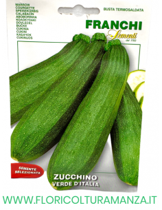 ZUCCHINO VERDE D'ITALIA