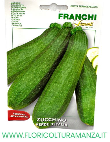 ZUCCHINO VERDE D'ITALIA