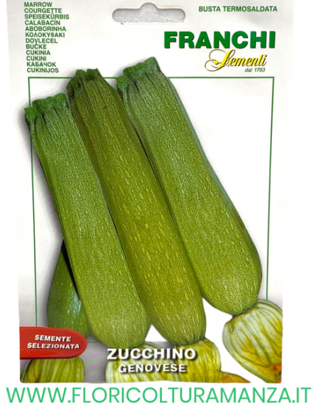 ZUCCHINO GENOVESE