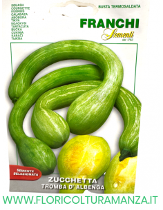 ZUCCHETTA TROMBA D'ALBENGA