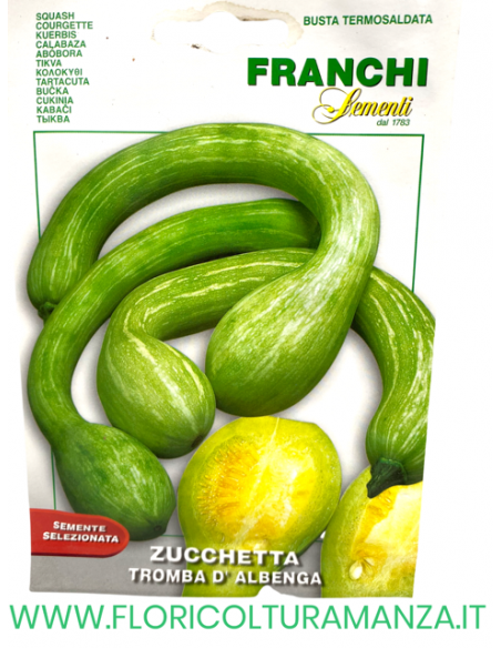 ZUCCHETTA TROMBA D'ALBENGA