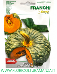 ZUCCA MARINA DI CHIOGGIA